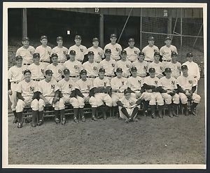 NY Yankees Team Photo Glass Negative 9/9/1941