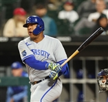Salvador Perez Game Used (SP-13) Batting Gloves